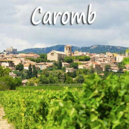 Belle Maison Provencale Au Pied Du Mont Ventoux Caromb 外观 照片