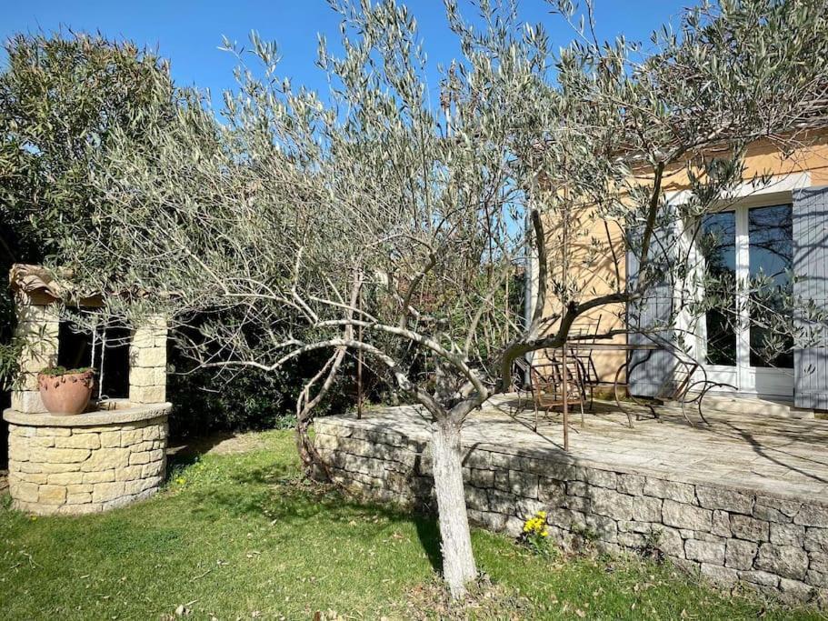 Belle Maison Provencale Au Pied Du Mont Ventoux Caromb 外观 照片