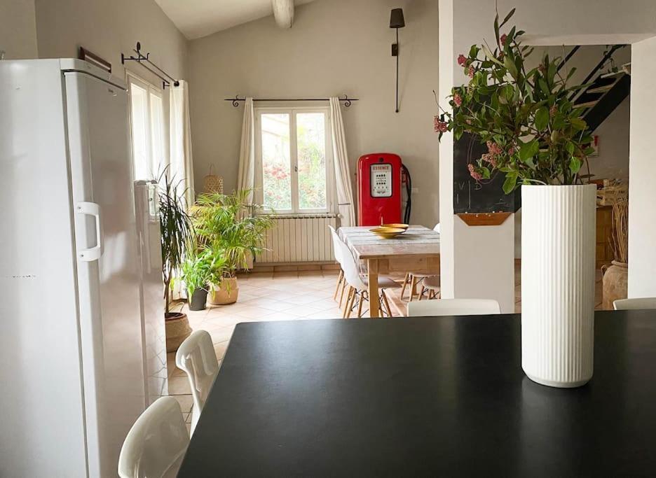 Belle Maison Provencale Au Pied Du Mont Ventoux Caromb 外观 照片