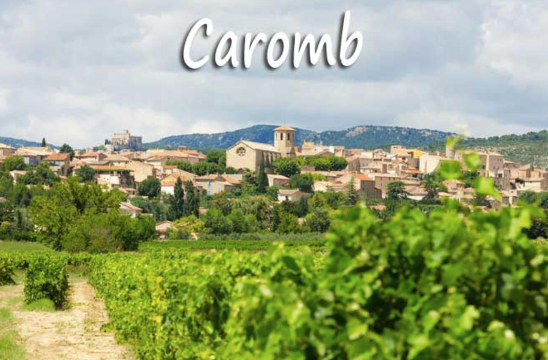 Belle Maison Provencale Au Pied Du Mont Ventoux Caromb 外观 照片